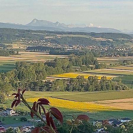 مبيت وإفطار Vully-les-Lacs Swiss Borzoi House المظهر الخارجي الصورة
