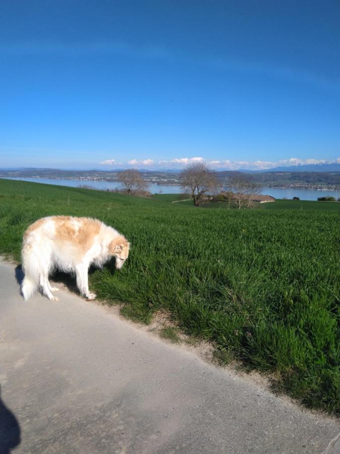 مبيت وإفطار Vully-les-Lacs Swiss Borzoi House المظهر الخارجي الصورة