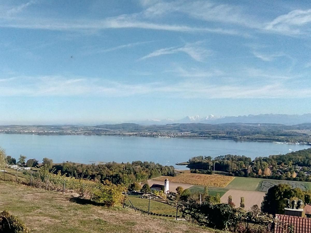 مبيت وإفطار Vully-les-Lacs Swiss Borzoi House المظهر الخارجي الصورة