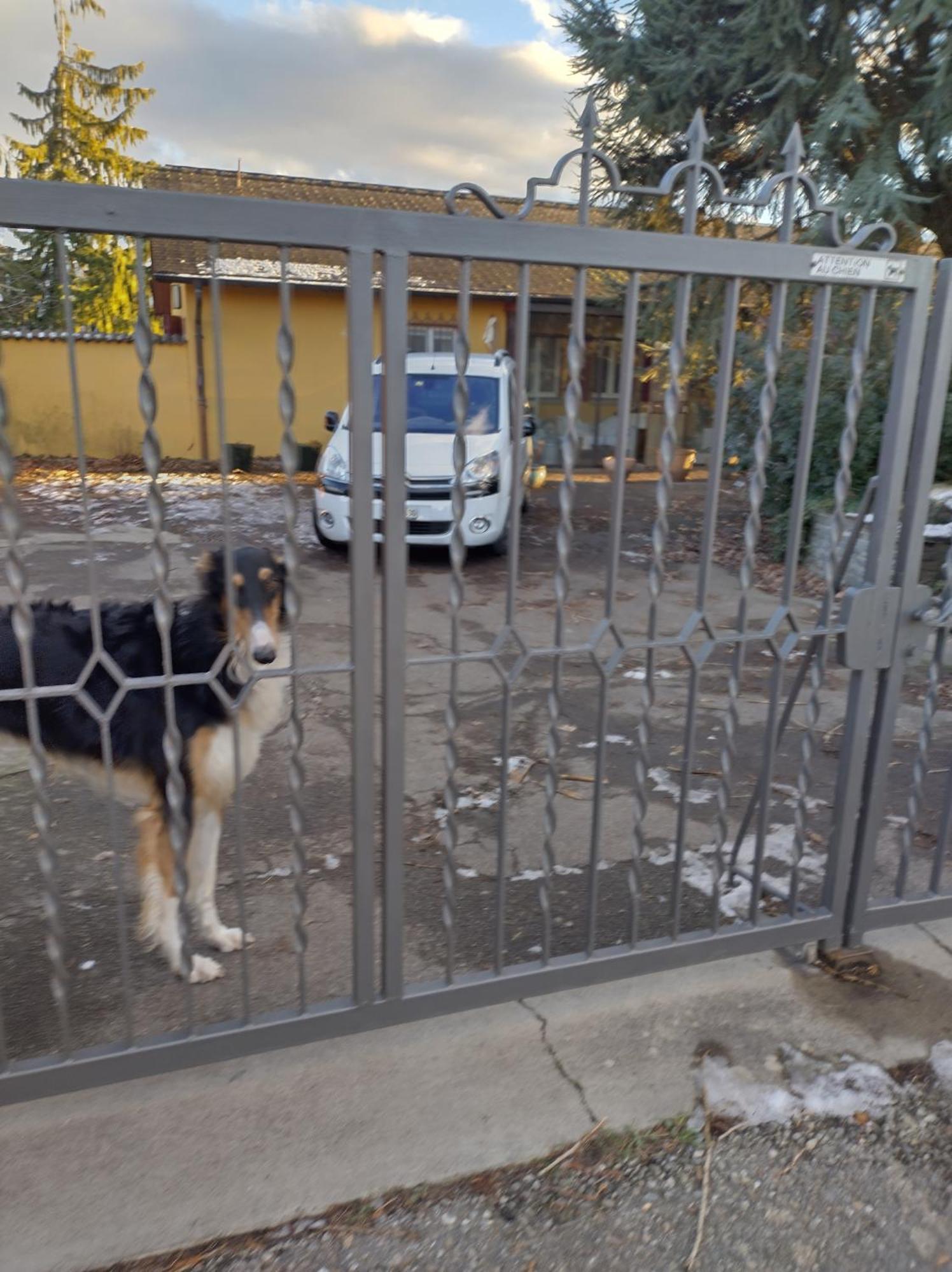 مبيت وإفطار Vully-les-Lacs Swiss Borzoi House المظهر الخارجي الصورة