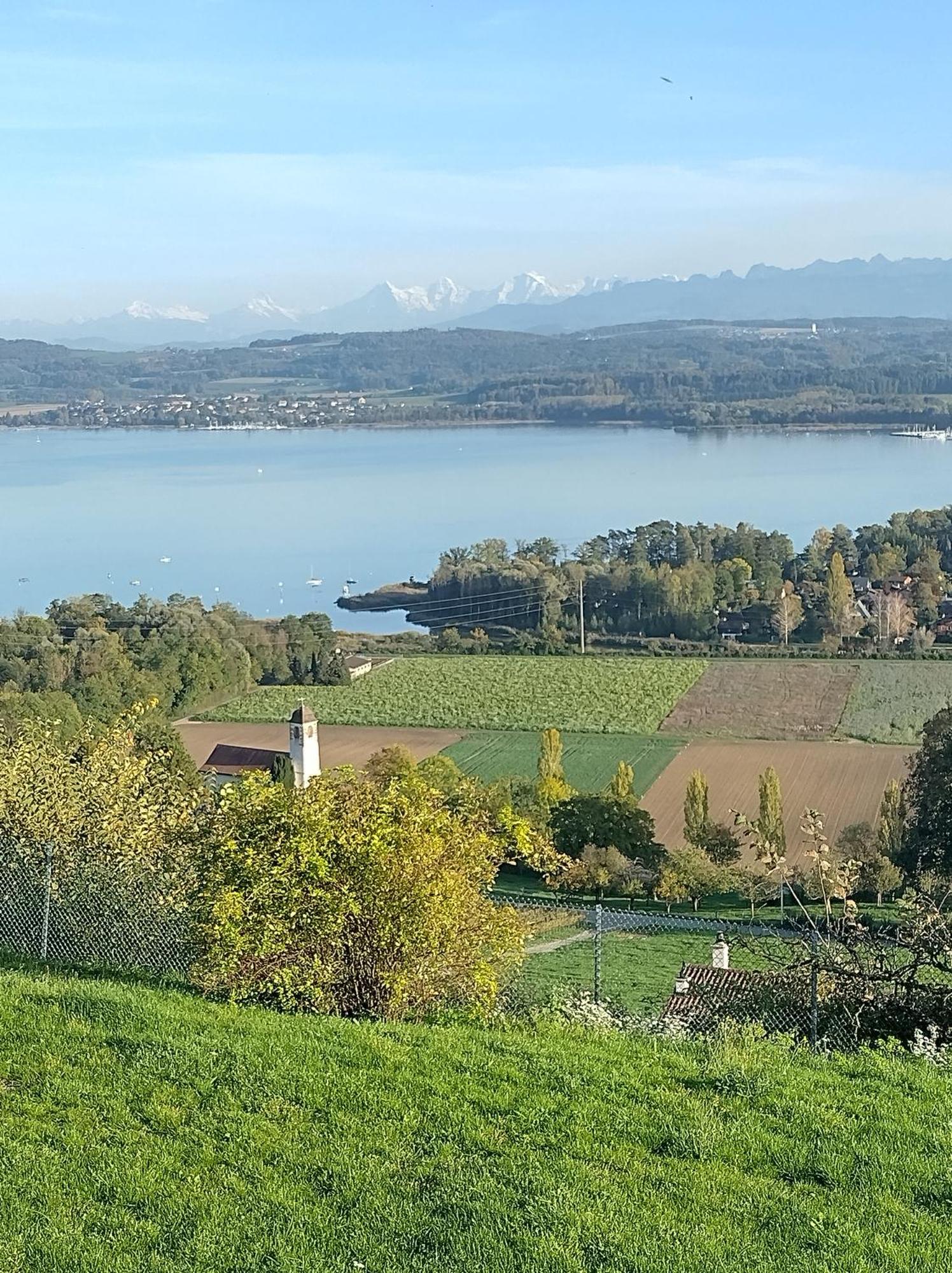 مبيت وإفطار Vully-les-Lacs Swiss Borzoi House المظهر الخارجي الصورة