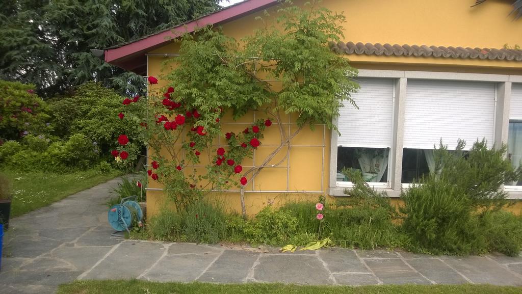 مبيت وإفطار Vully-les-Lacs Swiss Borzoi House المظهر الخارجي الصورة