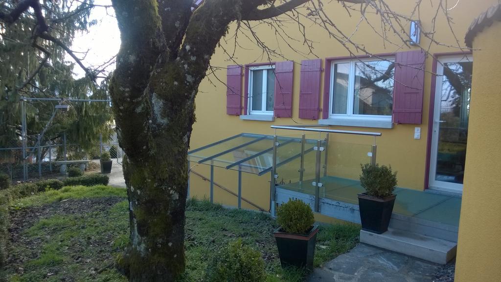 مبيت وإفطار Vully-les-Lacs Swiss Borzoi House المظهر الخارجي الصورة