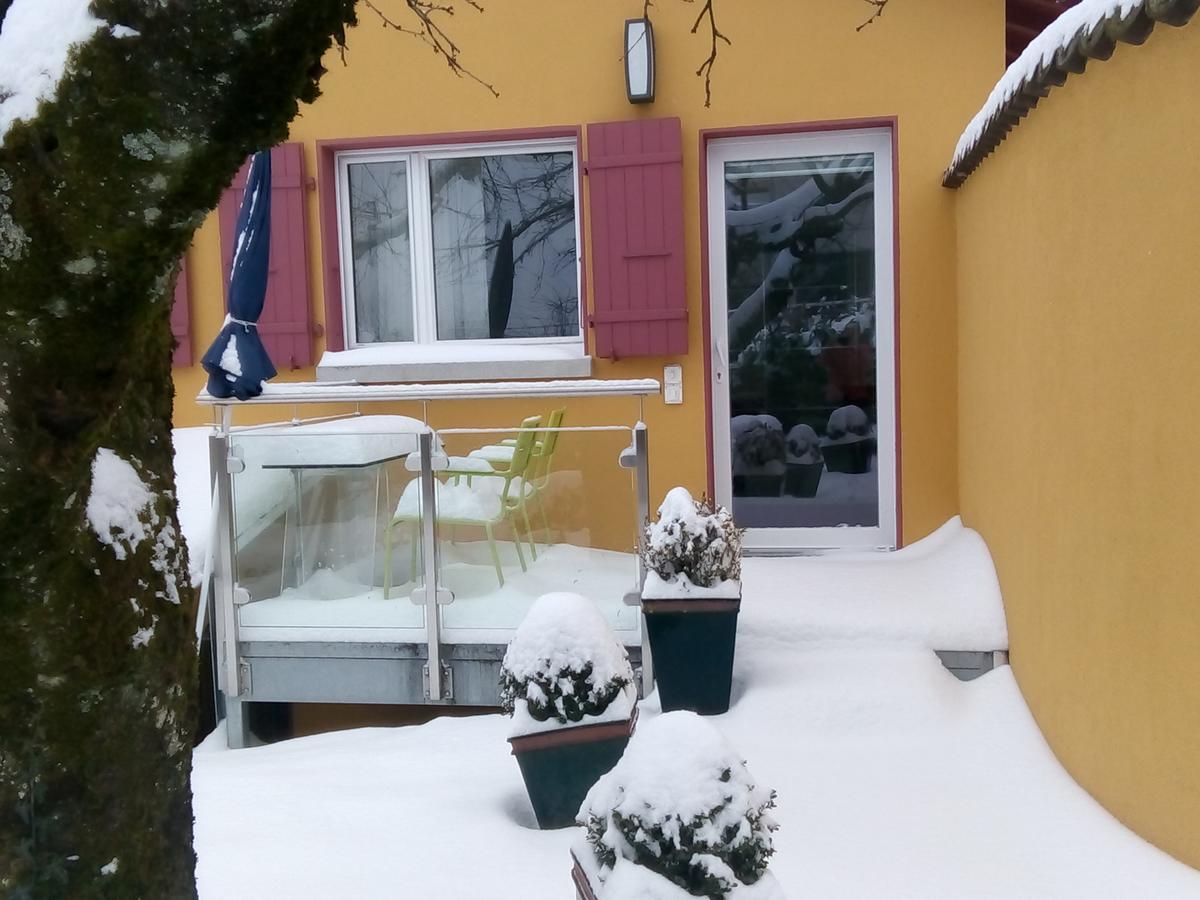 مبيت وإفطار Vully-les-Lacs Swiss Borzoi House المظهر الخارجي الصورة