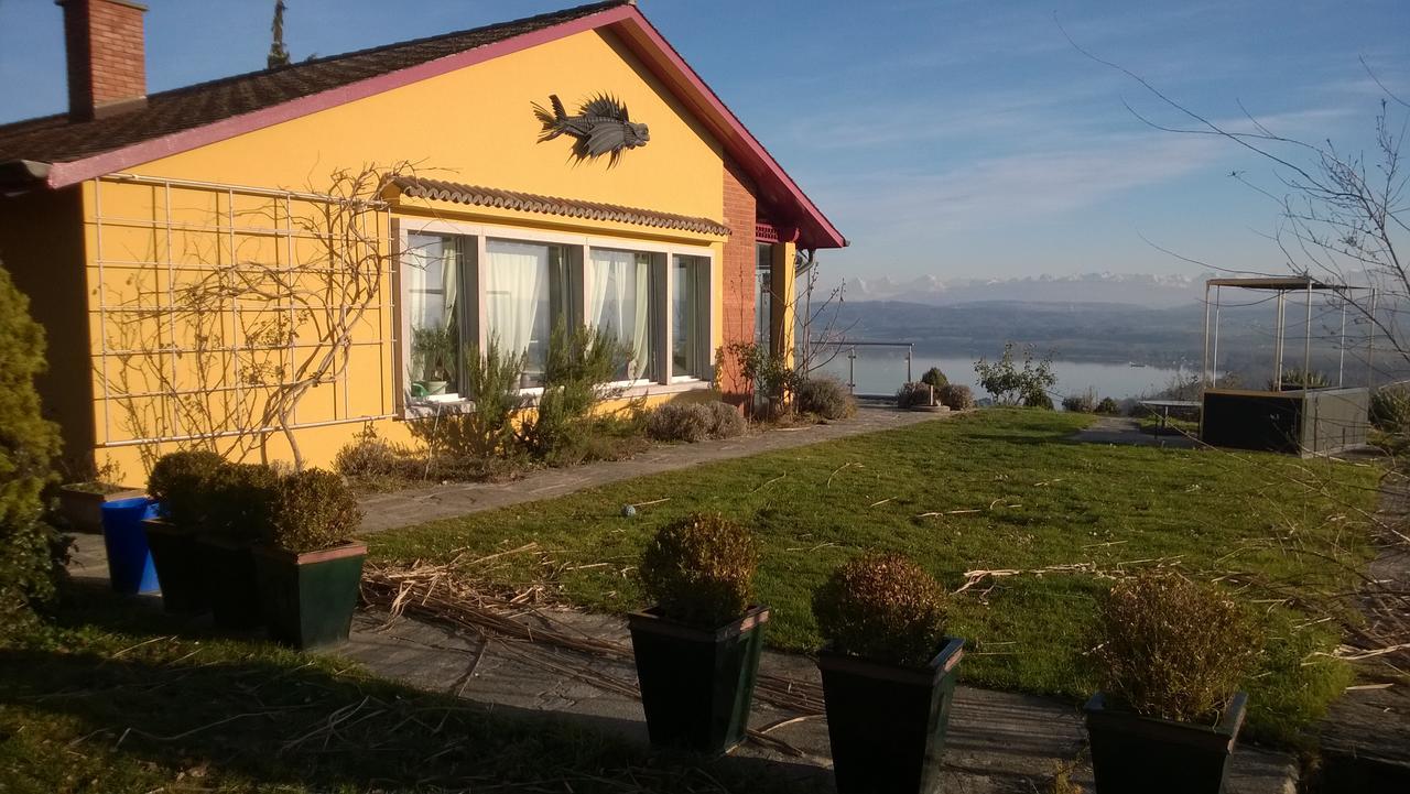 مبيت وإفطار Vully-les-Lacs Swiss Borzoi House المظهر الخارجي الصورة