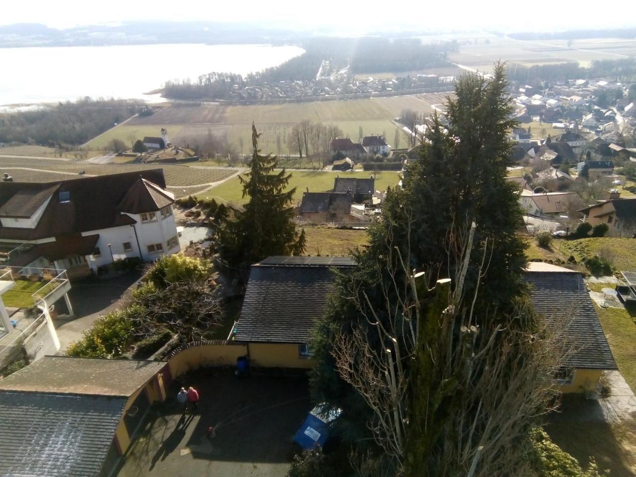 مبيت وإفطار Vully-les-Lacs Swiss Borzoi House المظهر الخارجي الصورة